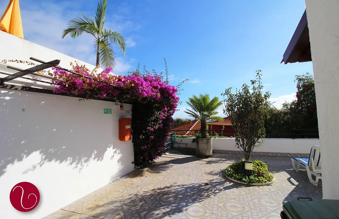 Guesthouse Vila Lusitania-1